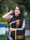 Bhagalpur Handloom Pure Linen Saree With Gold & Silver Stripes-Black