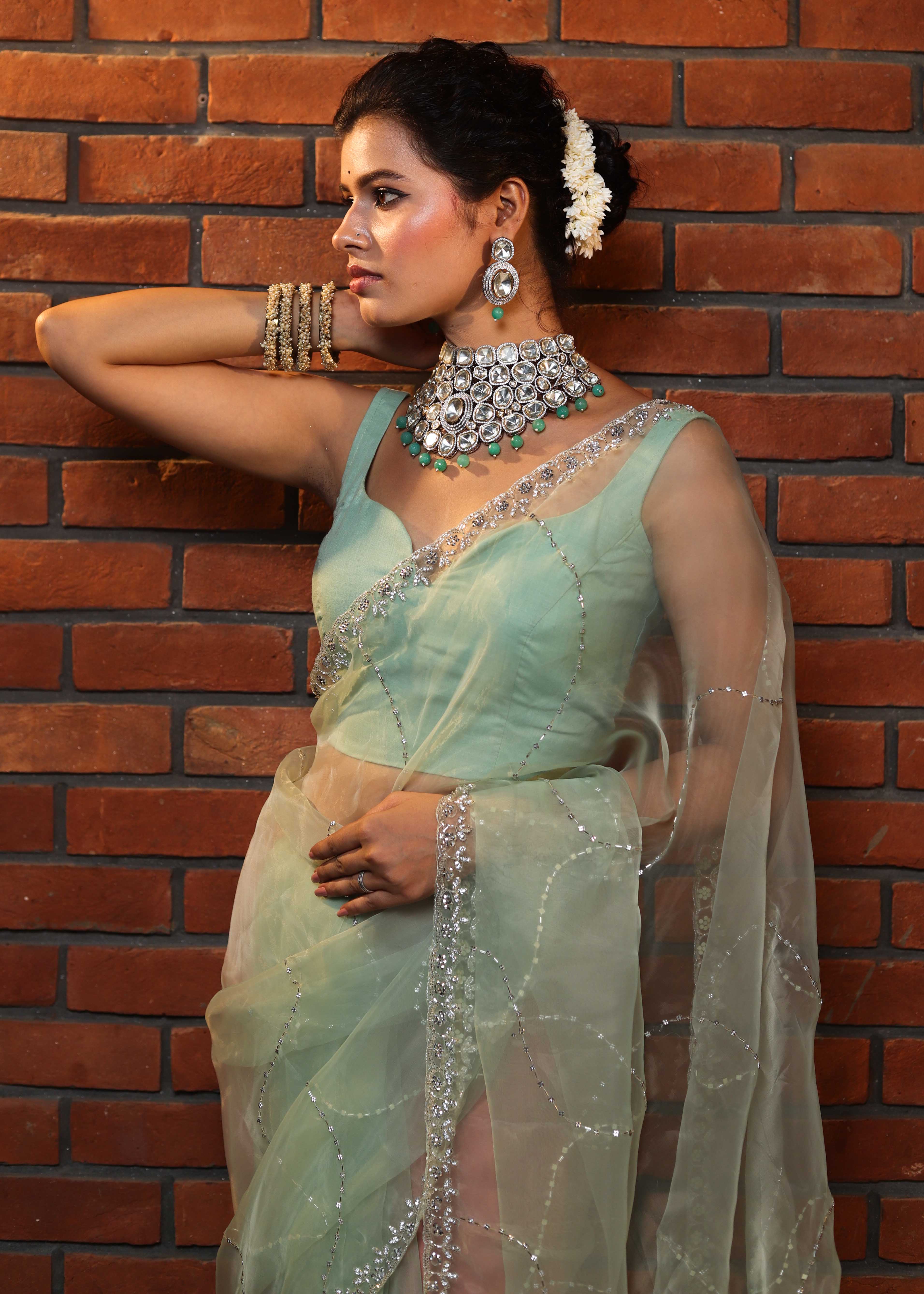 Banarasee Organza Mix Saree With Katdana Handwork-Mint Green