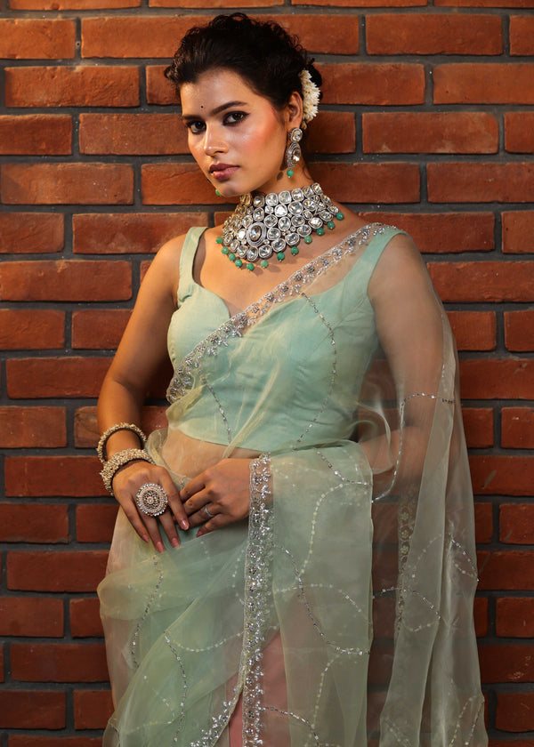 Banarasee Organza Mix Saree With Katdana Handwork-Mint Green