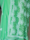 Banarasee Handwoven Georgette Saree With Chikankari Work-Light Green