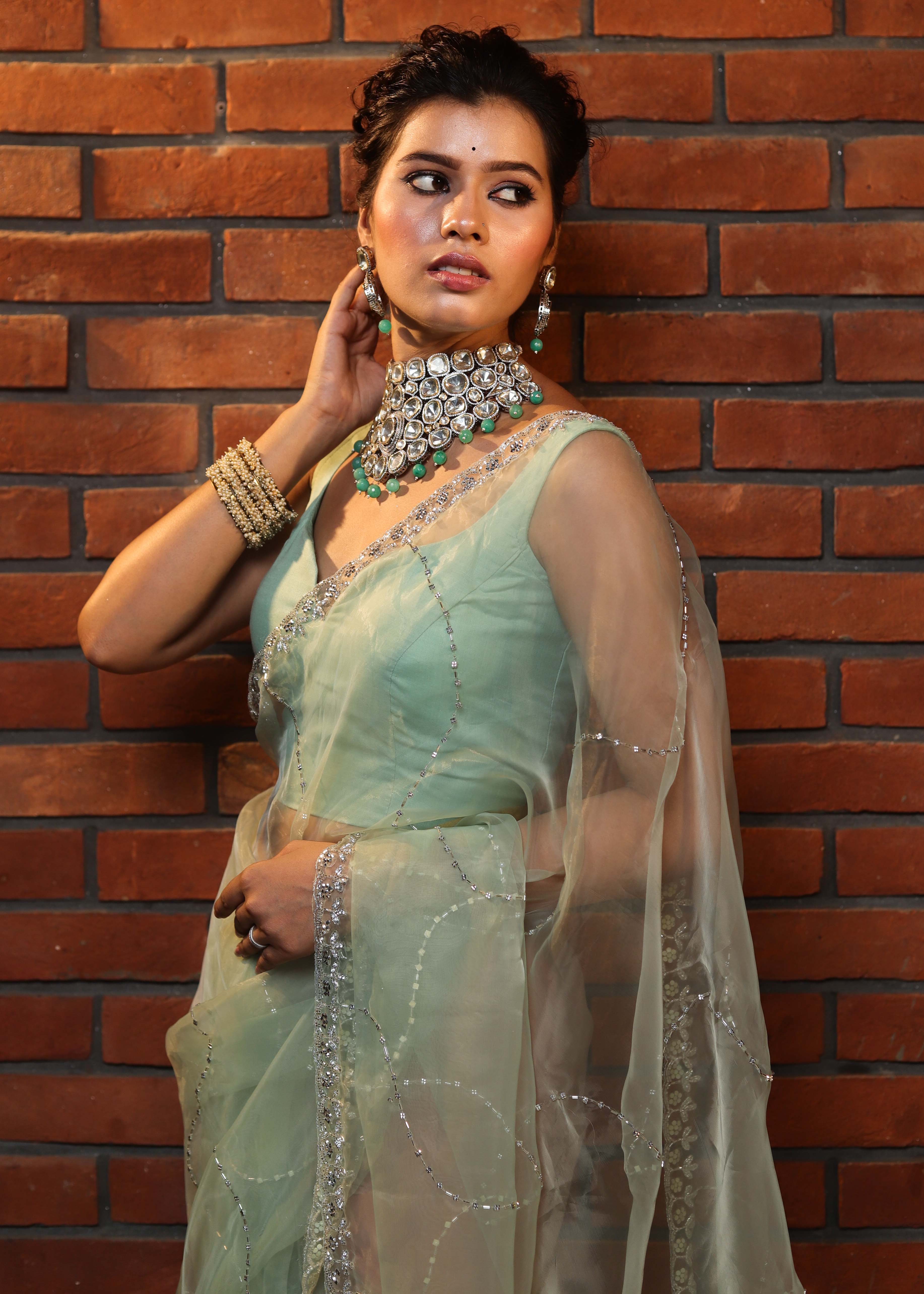Banarasee Organza Mix Saree With Katdana Handwork-Mint Green