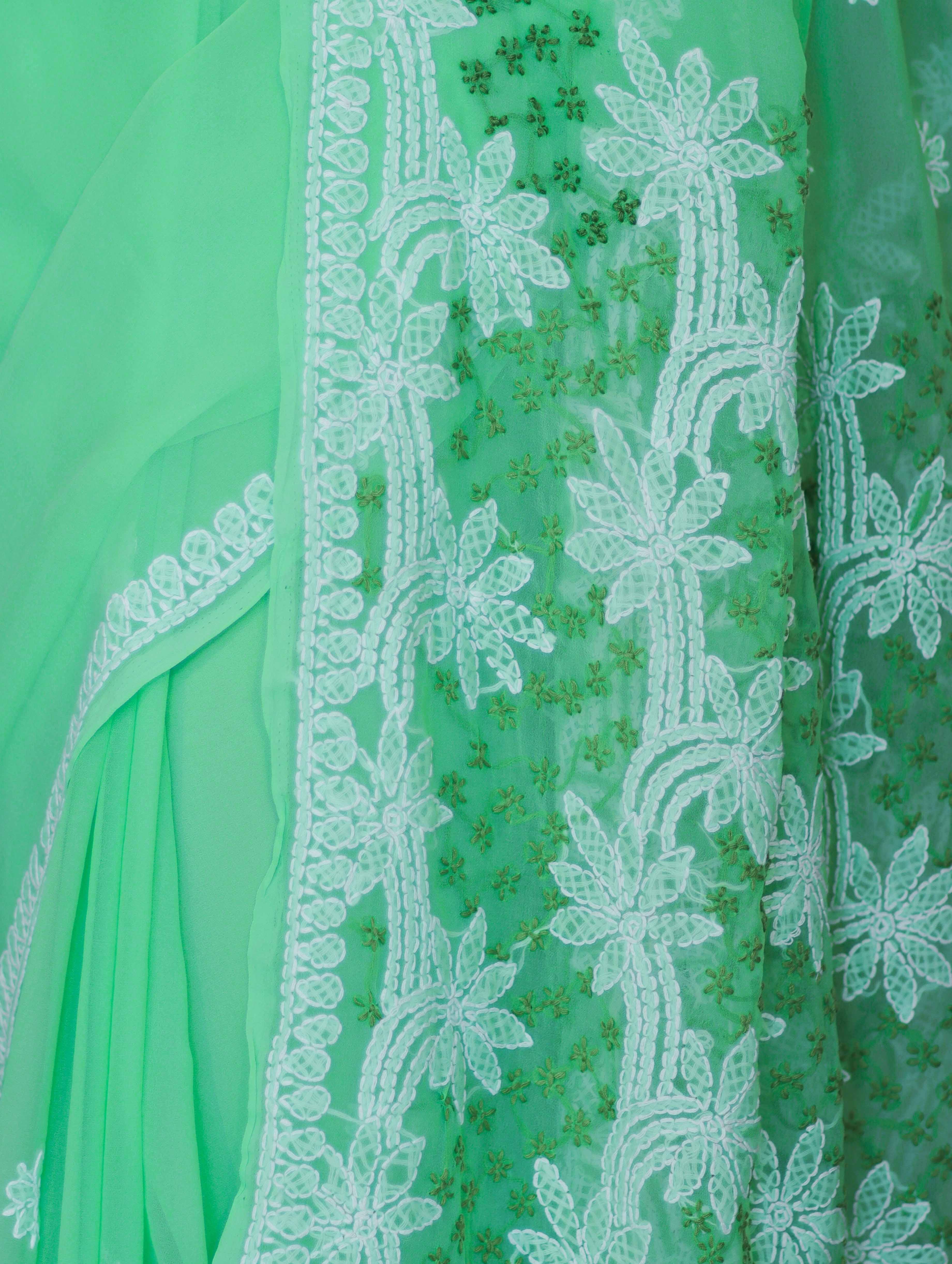 Banarasee Handwoven Georgette Saree With Chikankari Work-Light Green