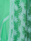 Banarasee Handwoven Georgette Saree With Chikankari Work-Light Green