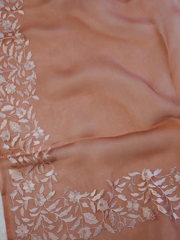 Banarasee Pure Organza Silk Saree With Floral Resham Embroidery-Brown