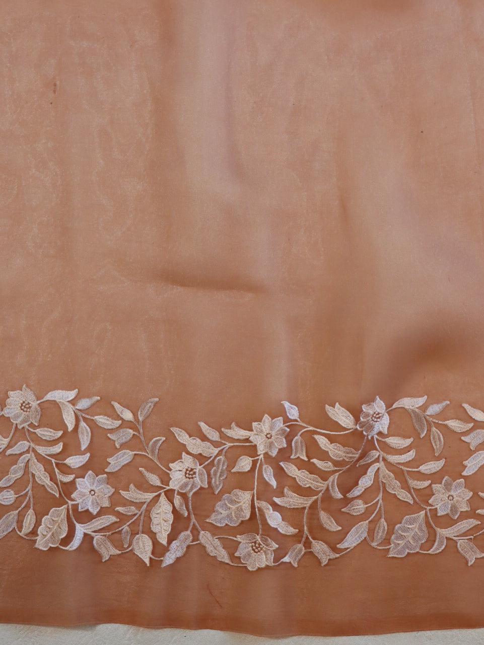 Banarasee Pure Organza Silk Saree With Floral Resham Embroidery-Brown