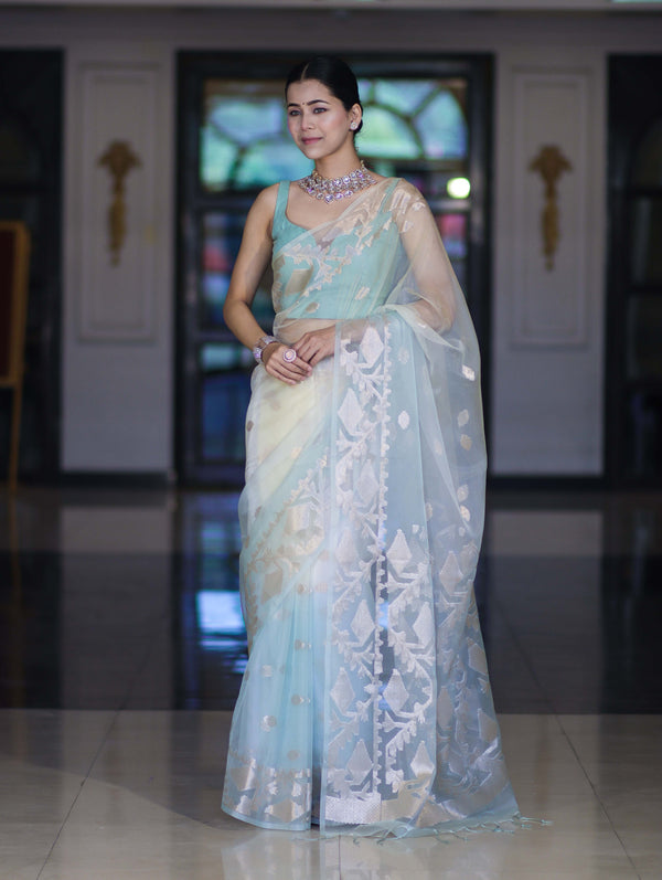 Banarasee Dual Color Organza Mix Saree With Zari Work-Mint Green & Light Yellow