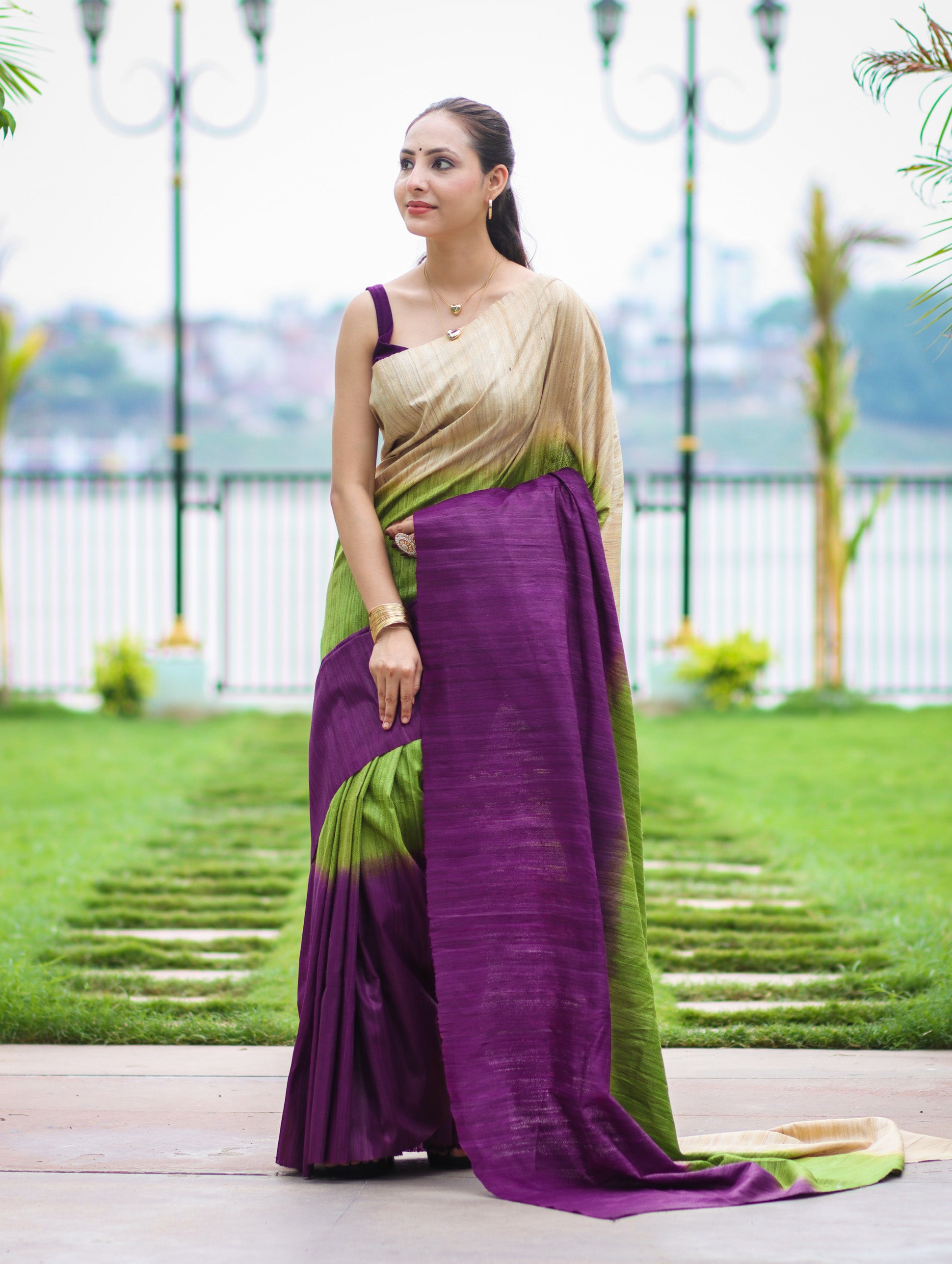 Bhagalpuri Handloom Pure Tussar Saree-Multicolor