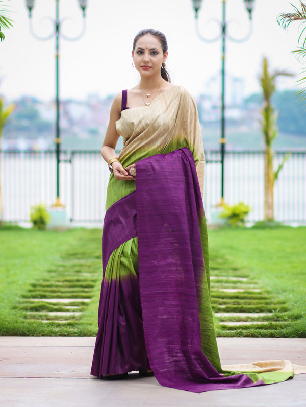 Bhagalpuri Handloom Pure Tussar Saree-Multicolor