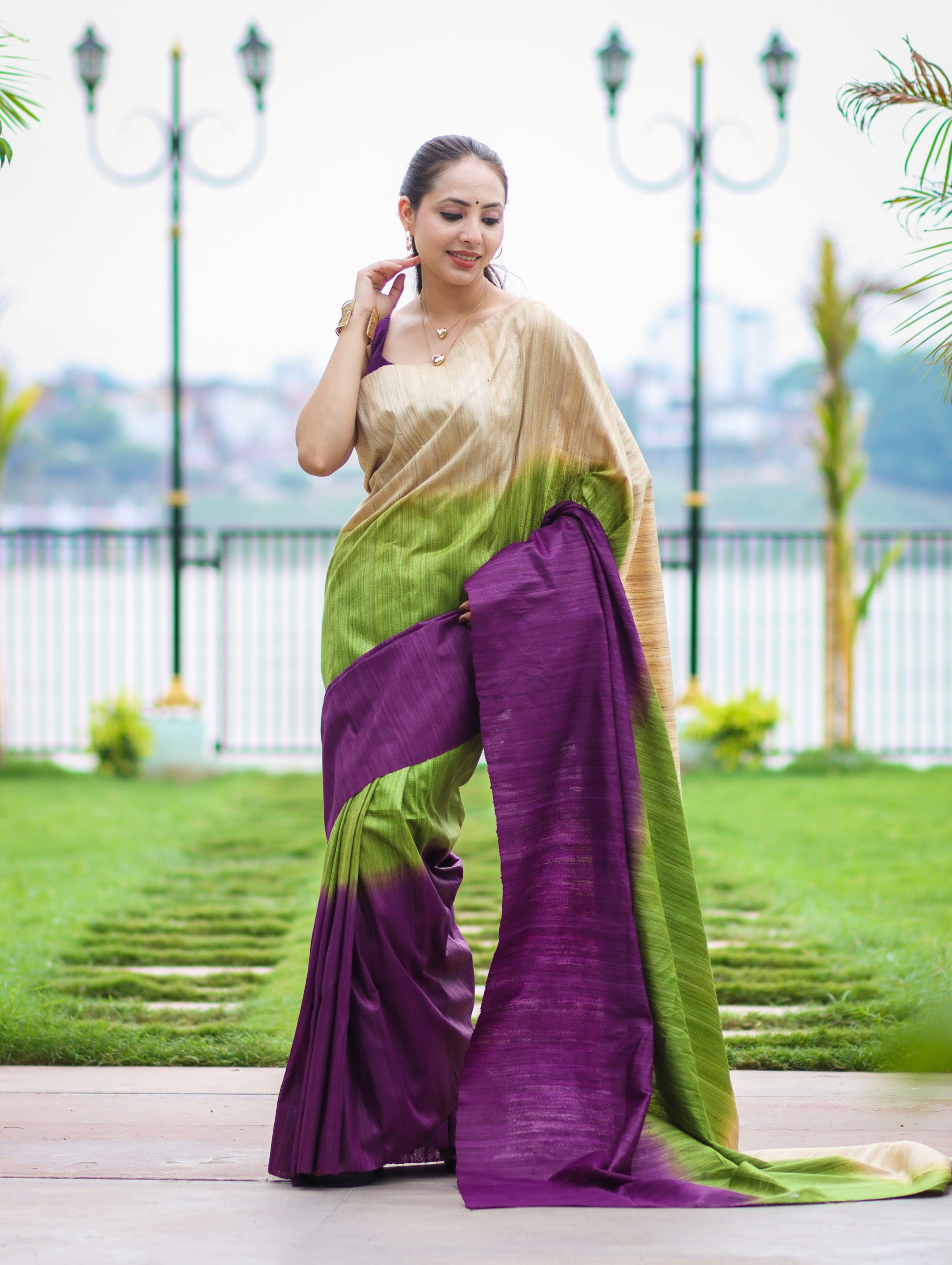 Bhagalpuri Handloom Pure Tussar Saree-Multicolor