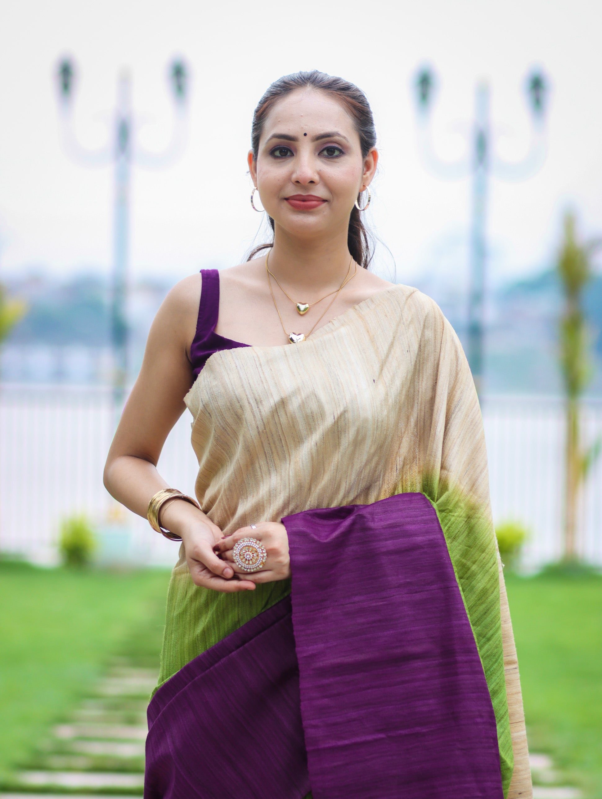 Bhagalpuri Handloom Pure Tussar Saree-Multicolor