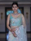 Banarasee Dual Color Organza Mix Saree With Zari Work-Mint Green & Light Yellow