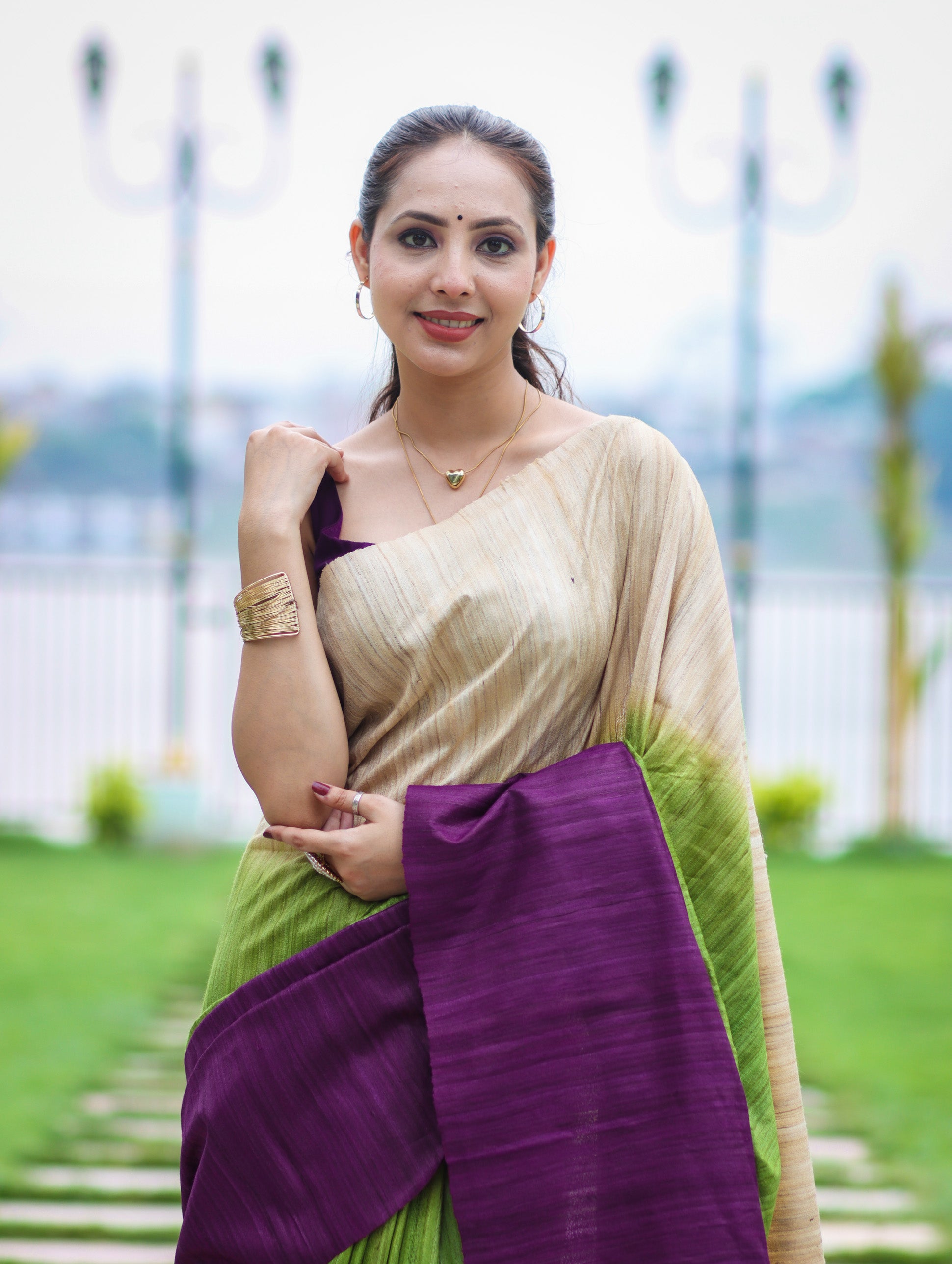 Bhagalpuri Handloom Pure Tussar Saree-Multicolor