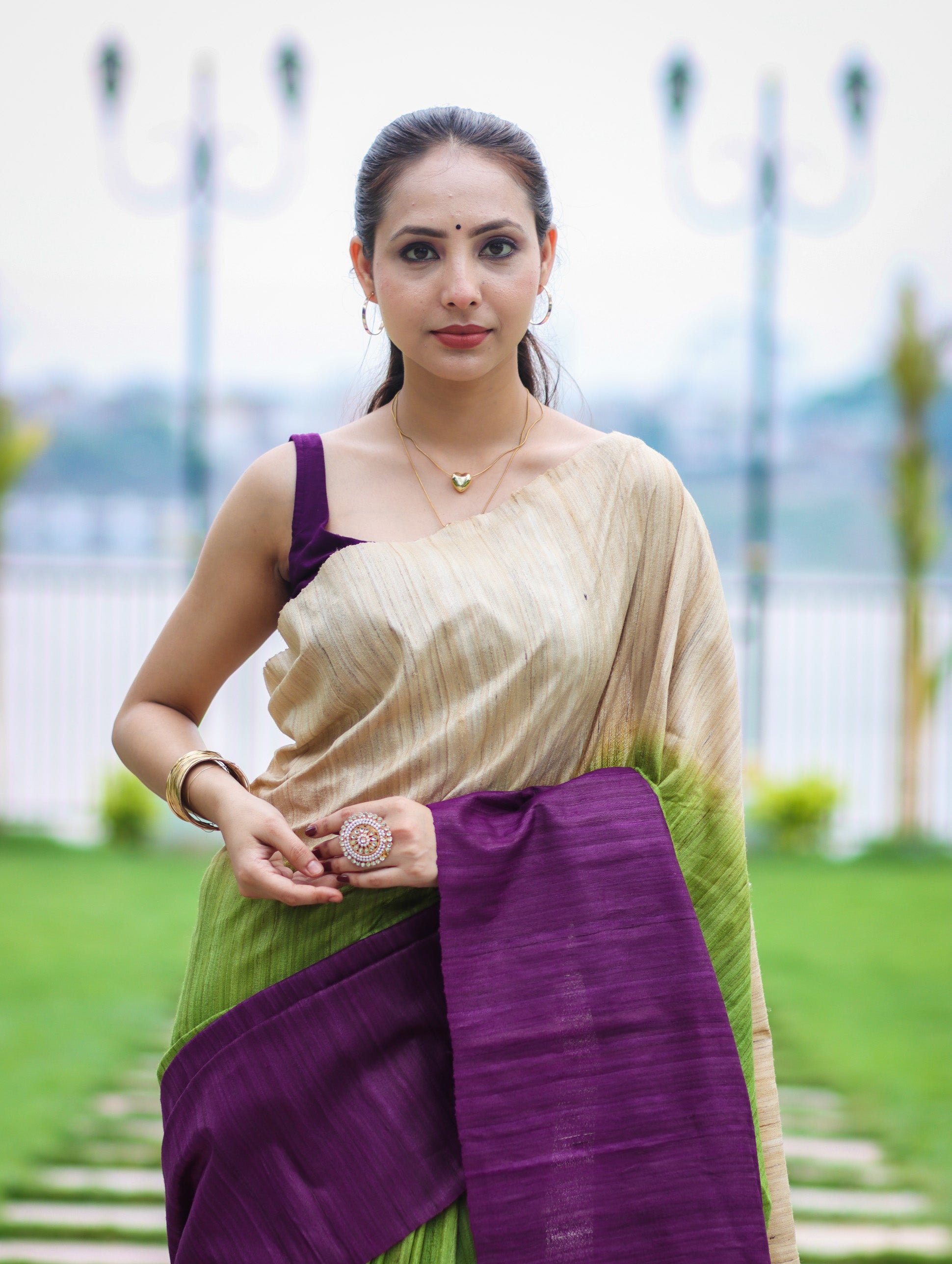 Bhagalpuri Handloom Pure Tussar Saree-Multicolor