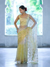 Banarasee Dual Color Organza Saree With Zari Jaal Design-Yellow (Dual Tone)