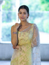 Banarasee Dual Color Organza Saree With Zari Jaal Design-Yellow (Dual Tone)