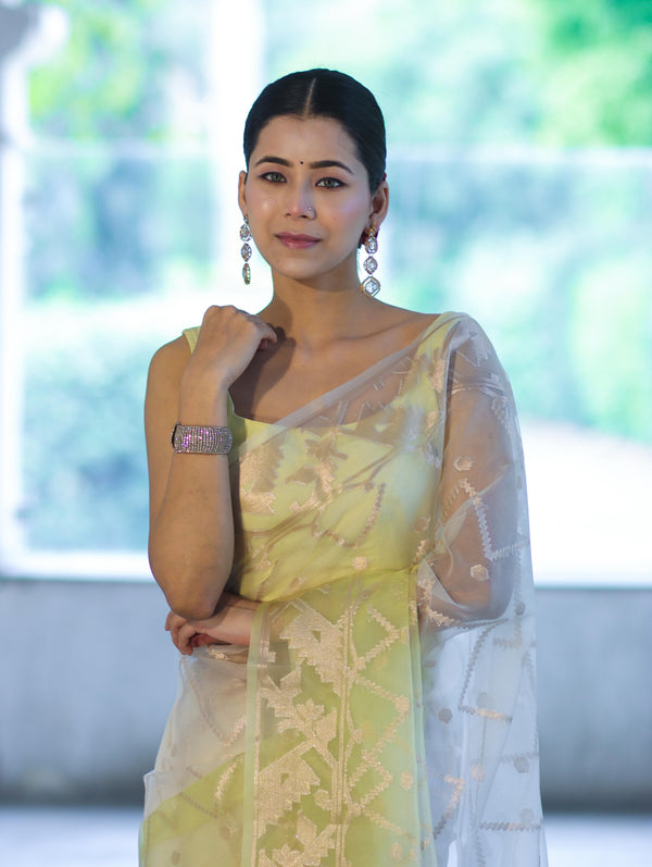 Banarasee Dual Color Organza Saree With Zari Jaal Design-Yellow (Dual Tone)