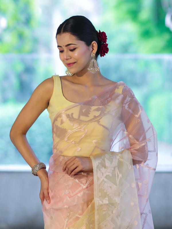 Banarasee Dual Color Organza Saree With Zari Jaal Design-Peach & Light Yellow