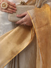 Banarasee Linen Tissue Metallic Shine Saree-Silver & Golden Yellow