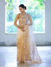 Banarasee Dual Color Organza Mix Saree With Zari Work-Gold & Silver