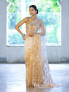 Banarasee Dual Color Organza Mix Saree With Zari Work-Gold & Silver