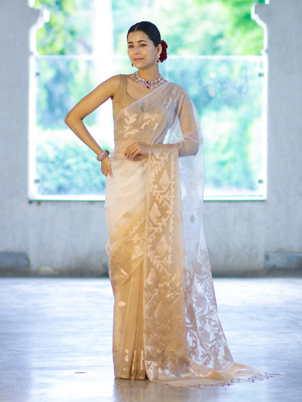Banarasee Dual Color Organza Mix Saree With Zari Work-Gold & Silver