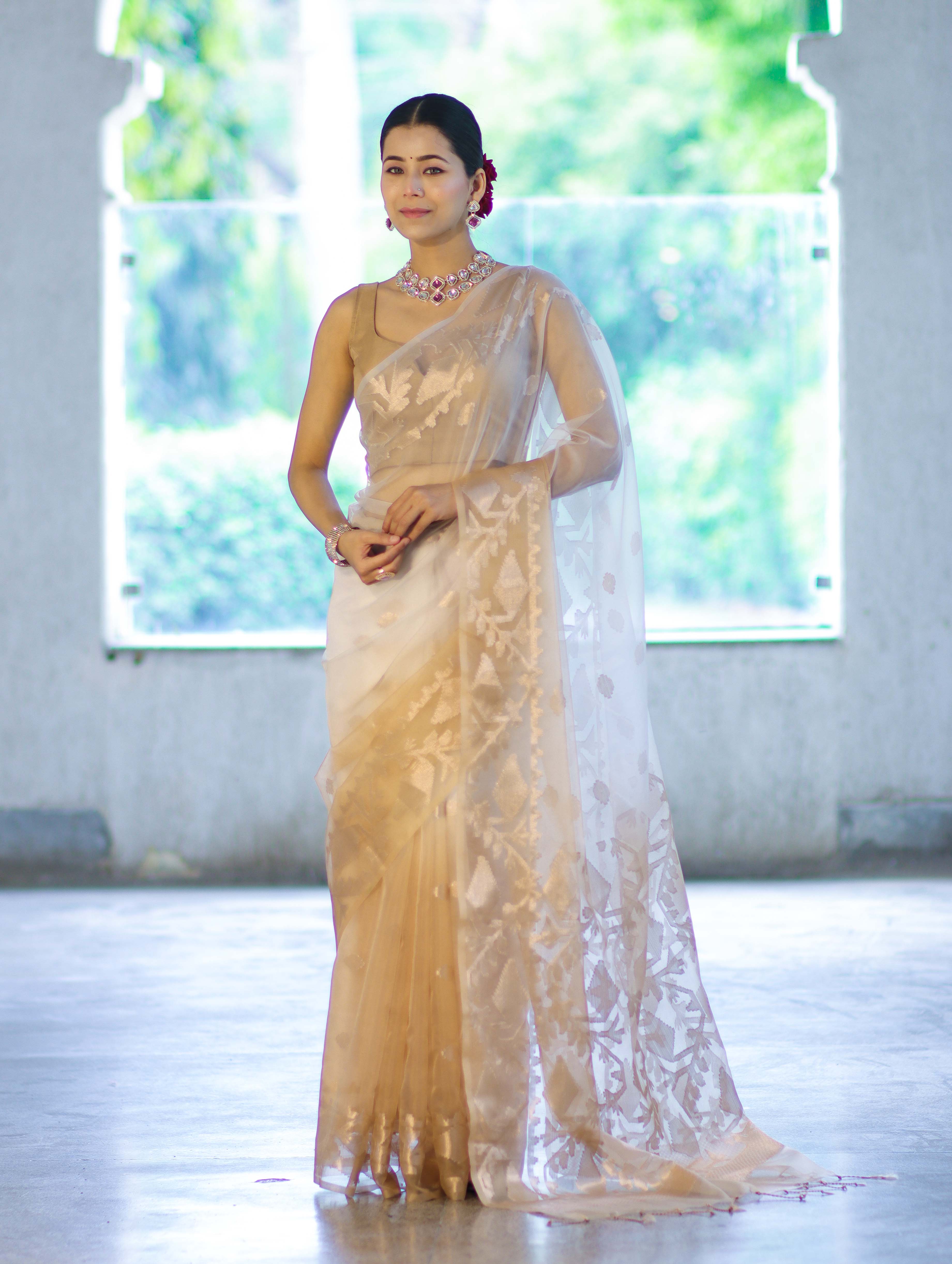 Banarasee Dual Color Organza Mix Saree With Zari Work-Gold & Silver