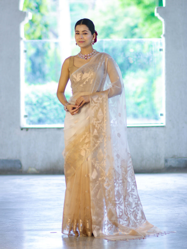 Banarasee Dual Color Organza Mix Saree With Zari Work-Gold & Silver