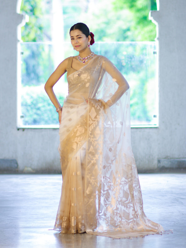 Banarasee Dual Color Organza Mix Saree With Zari Work-Gold & Silver