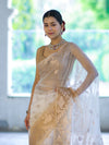 Banarasee Dual Color Organza Mix Saree With Zari Work-Gold & Silver