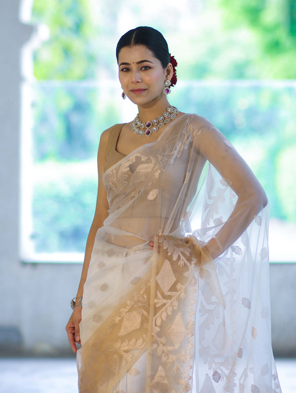 Banarasee Dual Color Organza Mix Saree With Zari Work-Gold & Silver