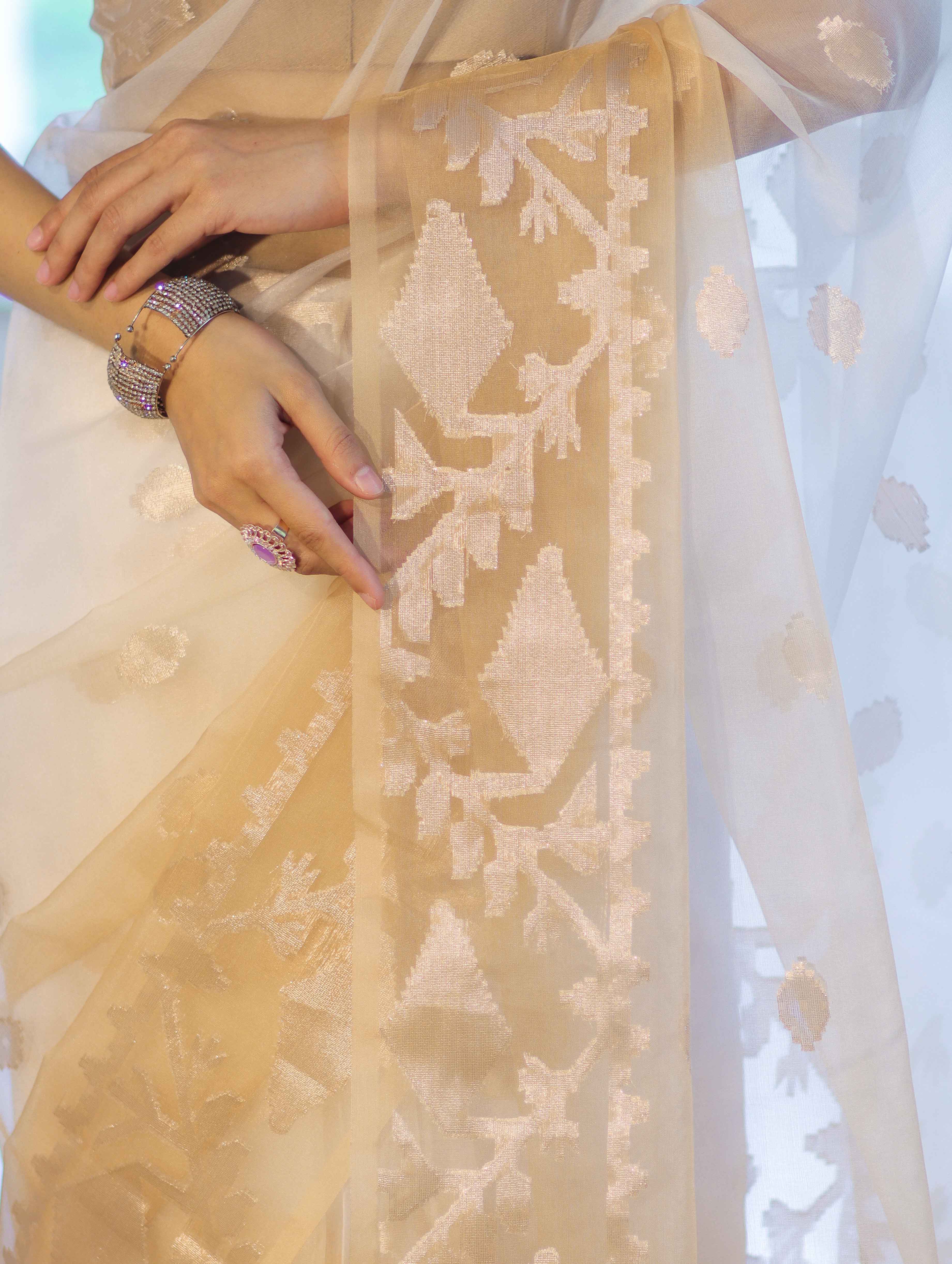 Banarasee Dual Color Organza Mix Saree With Zari Work-Gold & Silver