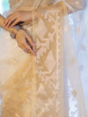 Banarasee Dual Color Organza Mix Saree With Zari Work-Gold & Silver