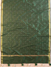 Banarasee Art Silk Dupatta With Hand-Embroidered Motifs-Green