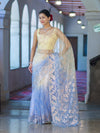 Banarasee Dual Color Organza Saree With Zari Jaal Design-Light Yellow & Light Blue