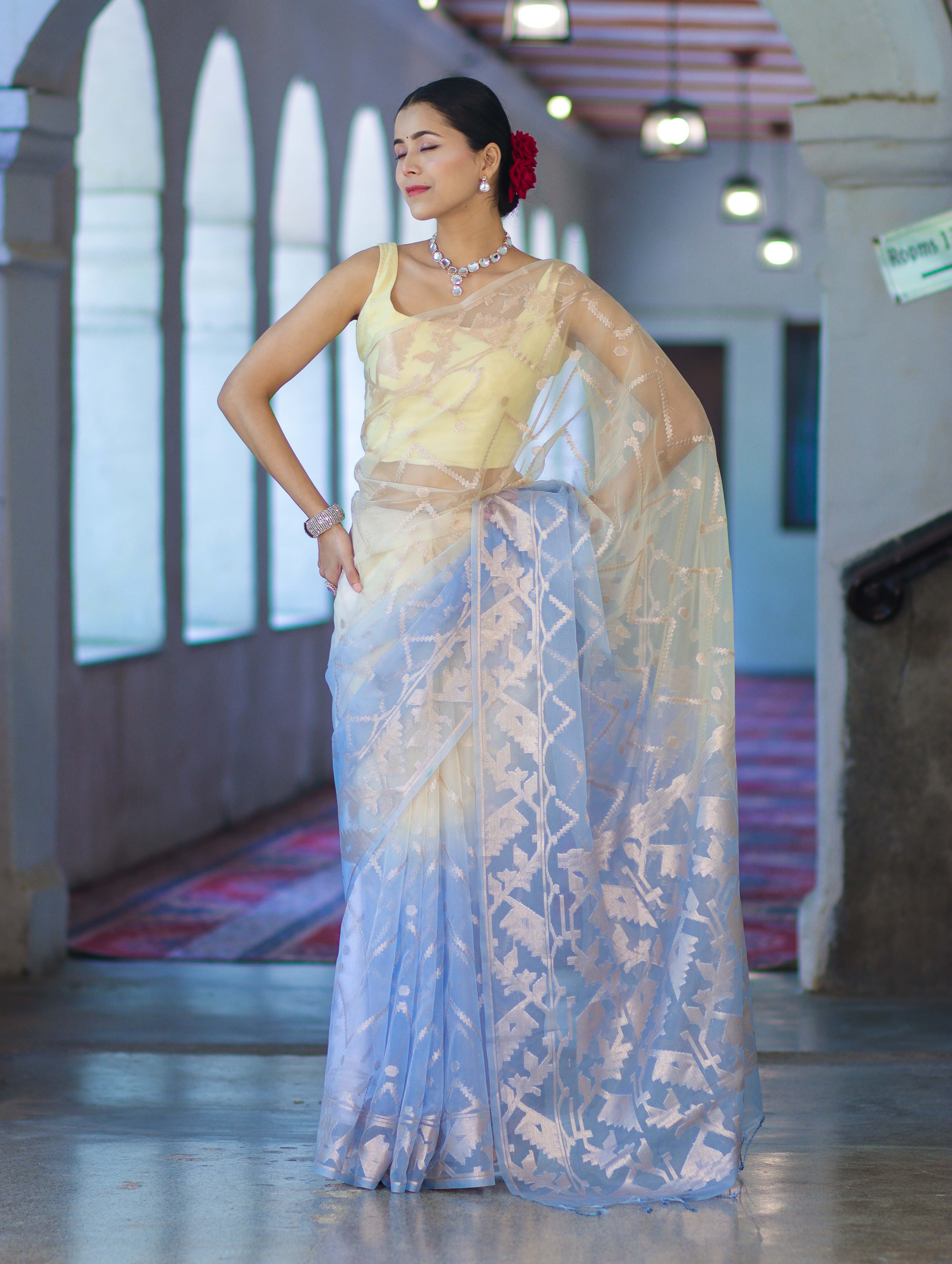 Banarasee Dual Color Organza Saree With Zari Jaal Design-Light Yellow & Light Blue