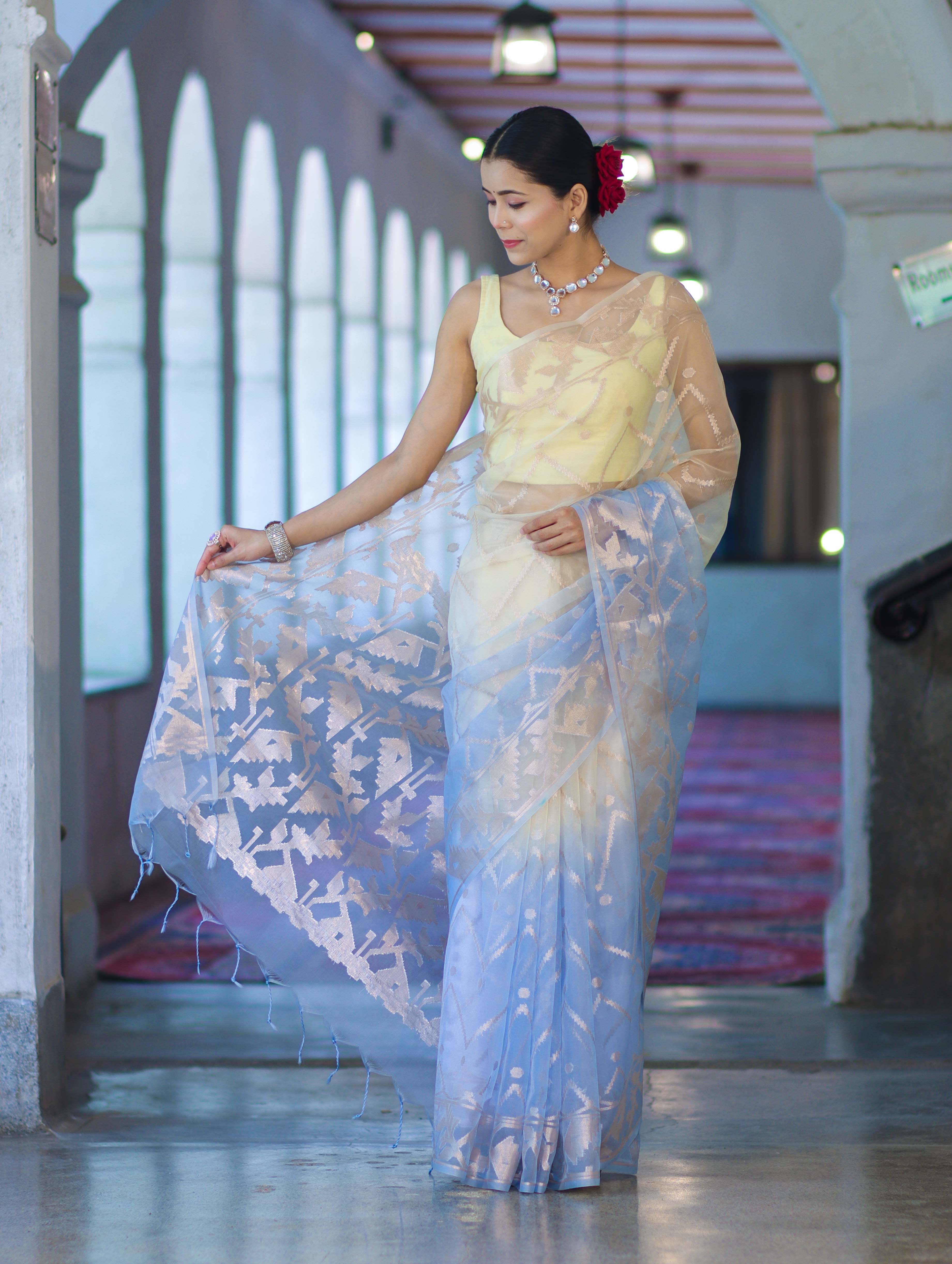 Banarasee Dual Color Organza Saree With Zari Jaal Design-Light Yellow & Light Blue