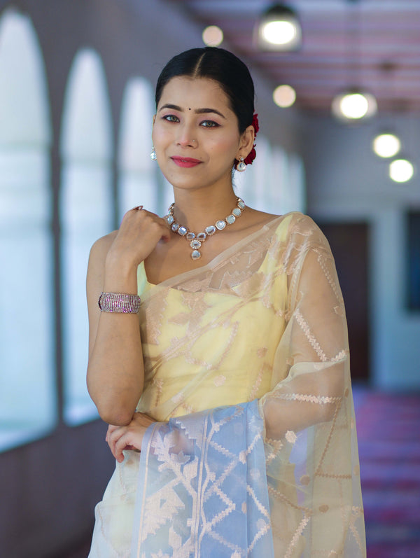 Banarasee Dual Color Organza Saree With Zari Jaal Design-Light Yellow & Light Blue