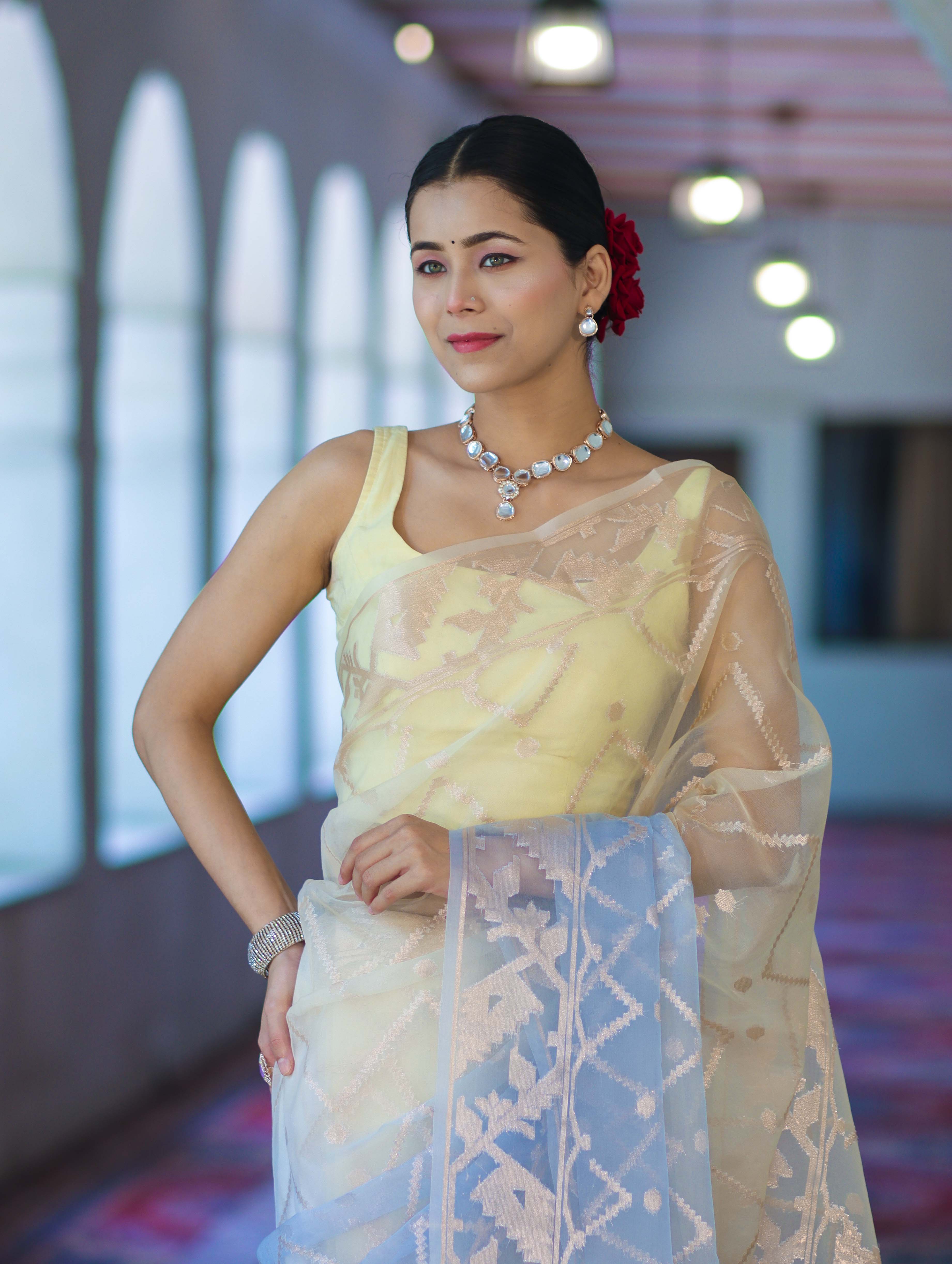 Banarasee Dual Color Organza Saree With Zari Jaal Design-Light Yellow & Light Blue