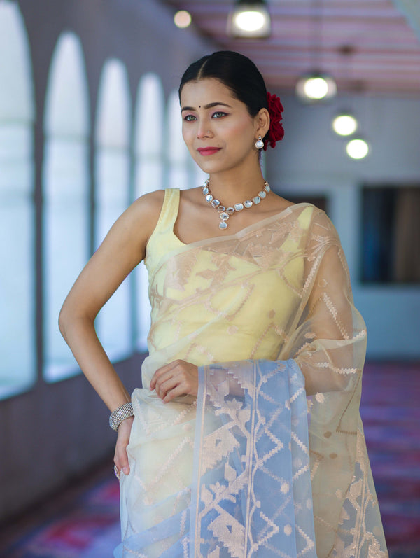 Banarasee Dual Color Organza Saree With Zari Jaal Design-Light Yellow & Light Blue