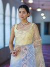 Banarasee Dual Color Organza Saree With Zari Jaal Design-Light Yellow & Light Blue