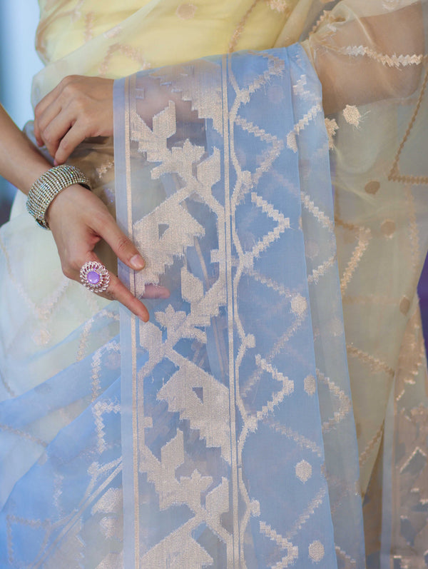 Banarasee Dual Color Organza Saree With Zari Jaal Design-Light Yellow & Light Blue