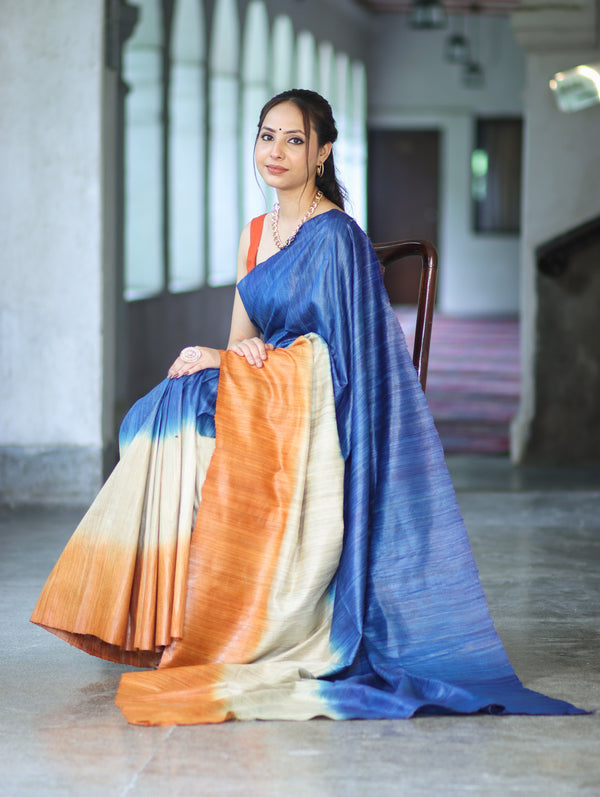 Bhagalpuri Handloom Pure Tussar Saree-Multicolor
