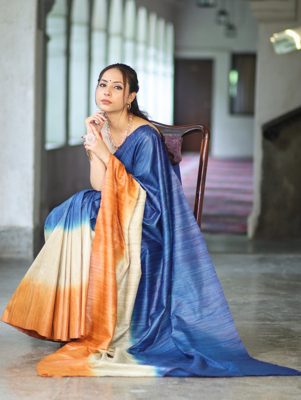 Bhagalpuri Handloom Pure Tussar Saree-Multicolor