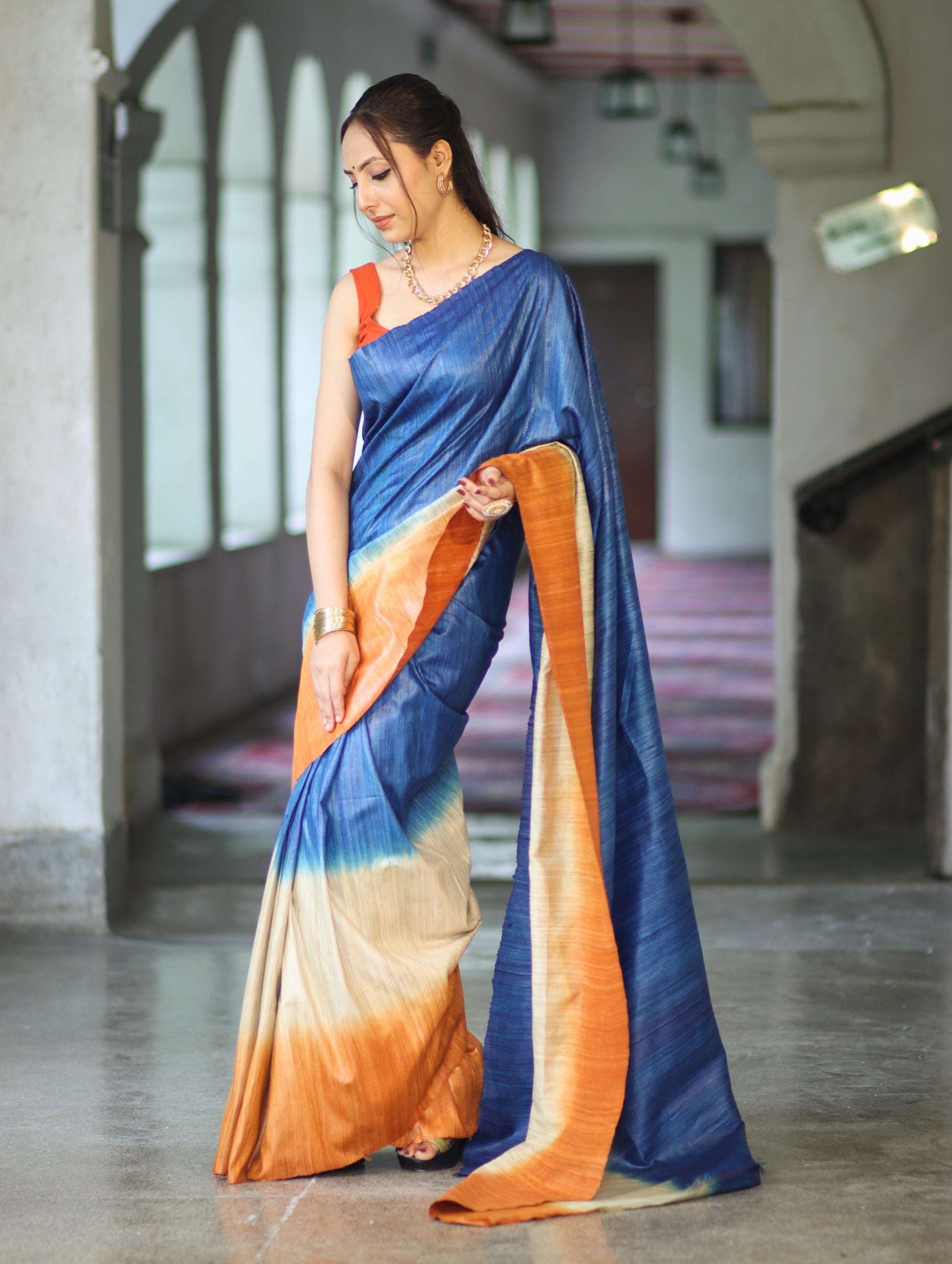Bhagalpuri Handloom Pure Tussar Saree-Multicolor