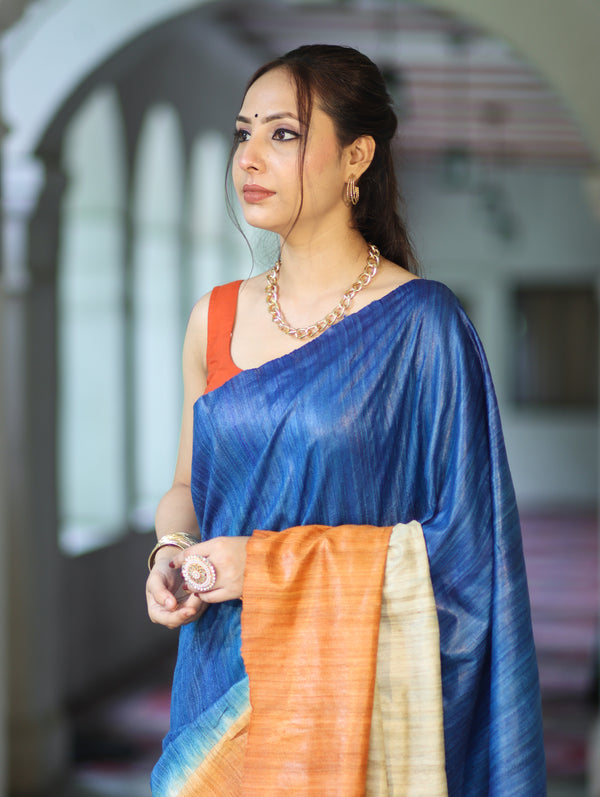 Bhagalpuri Handloom Pure Tussar Saree-Multicolor