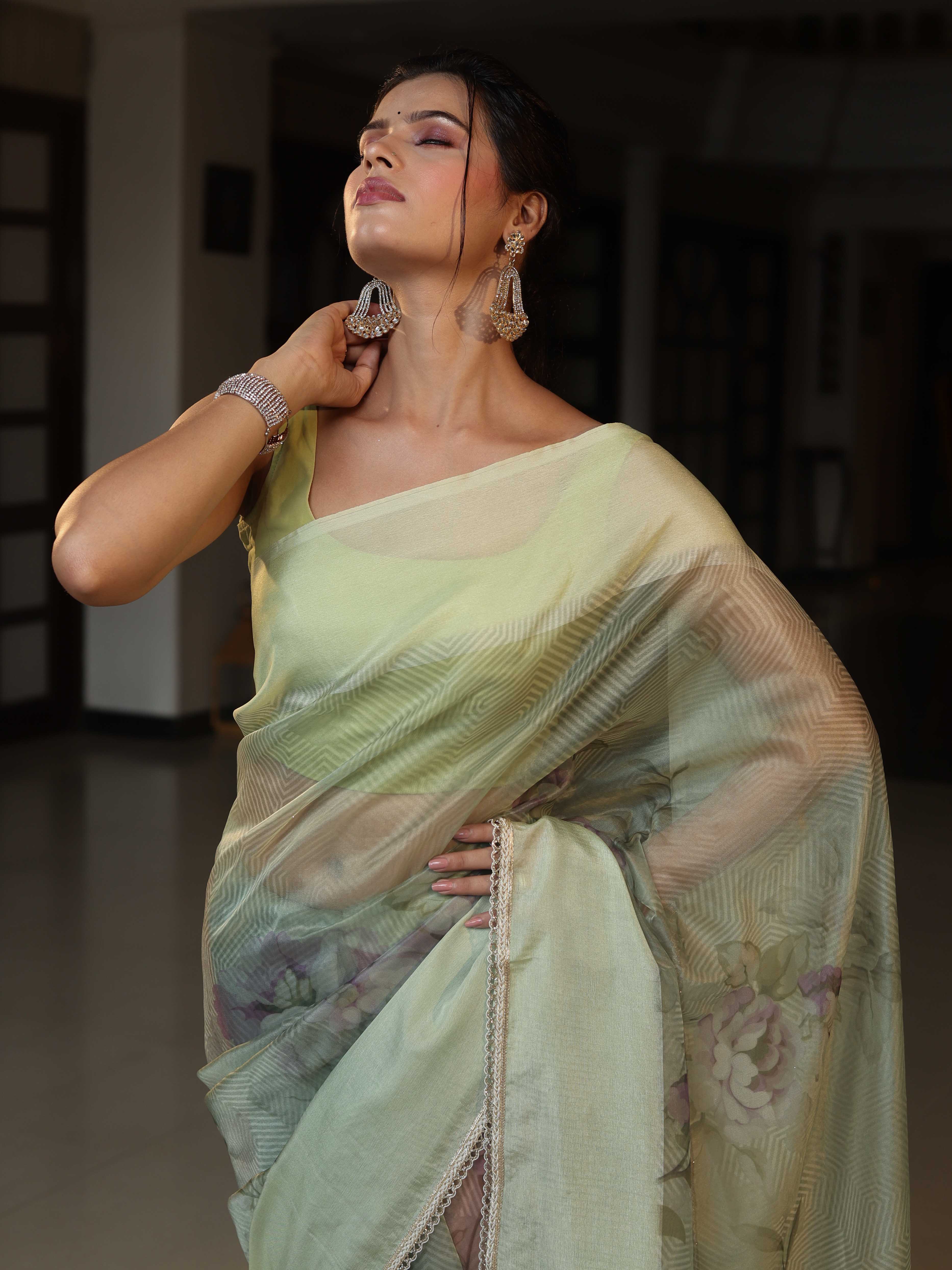 Banarasee Digital Printed Tissue Saree With Lace-Light Green