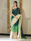 Bhagalpuri Handloom Pure Tussar Saree-Multicolor