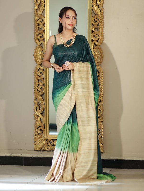 Bhagalpuri Handloom Pure Tussar Saree-Multicolor