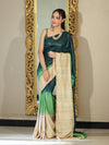 Bhagalpuri Handloom Pure Tussar Saree-Multicolor