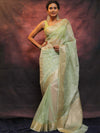 Banarasee Organza Floral Embroidery Sequin Work Saree-Pastel Green